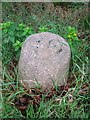 Old Milestone by the B994, Kintore