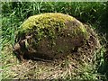 Old Boundary Marker by Tucker