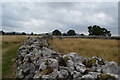 S9073 : Central wall, Rathgall Fort by N Chadwick