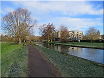TL4457 : By the Cam at Sheep's Green in February by John Sutton