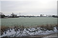 Farmland by Alder Lane