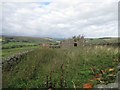 Ruined Building and Overgrown Garden