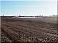 Looking across arable field