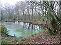 Pond in Whomerley Wood