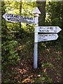 SCC fingerpost prior to refurbishment, The Avenue, Crowcombe Heathfield