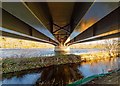 Holm Mills Bridge and Lade