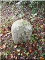 Old Boundary Marker by Main Street, Emery Down