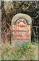 Old Milestone by the B4388, Forden Road, Montgomery