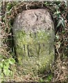 Old Milestone south of Tregynon