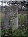 Old Milestone by the A1023, Chelmsford Road, Brentwood