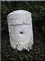 Old Milestone by the A709, Ryemuir Wood