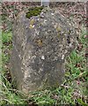 Old Milestone by the A361, Frome Road