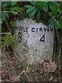 Old Milestone by the B741, Bargany Mains