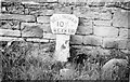 NY9171 : Old Milepost by the B6320, Humshaugh parish by Milestone Society