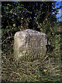 Old Milestone by the B1007, South Hill, Horndon-on-the Hill