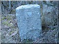 Old Milestone by the A713, Mid Park, Castle Douglas