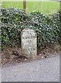 Old Milestone by the A379, New Road, Stoke Fleming