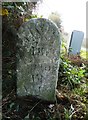 Old Milestone by the A38, Rattery parish