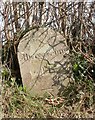 Old Milestone north of Pen-pwll-sond, Llanveynoe parish