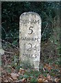 Old Milestone by the A287, Warren Corner, Crondall parish