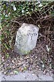 SX8751 : Old Milestone by Victoria Road, Dartmouth by A Rosevear