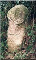 TG1422 : Old Milestone by Norwich Road, Cawston parish by CW Haines