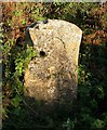 Old Milestone east of Corton Denham