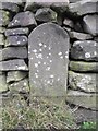 Old Milestone by Ring Wood, Hartcliffe Hill Road, Langsett parish