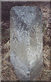 Old Milestone by the A938, Dalbuiack, east of Carrbridge