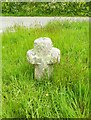 SX4058 : Old Wayside Cross by Trehan Villa, Saltash parish by Alan Rosevear
