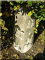 Old Milestone by the A70, Old Toll, Ayr parish