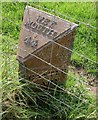 Old Milepost by the A371, Pecking Mill Gate, Evercreech parish