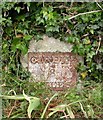 Old Milestone by Springfield Road, Quenington parish