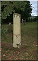 Old Wayside Cross - moved to Whitestone churchyard