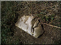 Old Milestone by Epping Lane, Theydon Garnon parish