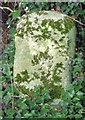 Old Milestone by old road off the A602, south of Tonwell