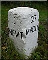 Old Milestone by the B4568, Milford Road, Newtown and Llanllwchaiarn parish