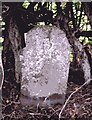 Old Milestone west of Midshiels, Hawick parish