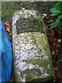 Old Milestone by Mossknowe House, Kirkpatrick Fleming parish