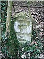 Old Milestone by Bryngwyn Road, west of Dingestow, Mitchel Troy parish