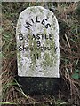 Old Milestone by Stitt Hill, Ratlinghope parish