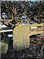 Old Milestone by the former A65, Ilkley Road, Addingham parish