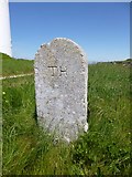 SZ3189 : Old Boundary Marker by Hurst Point Higher Lighthouse, Milford on Sea by Milestone Society