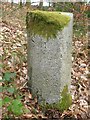 Old Milestone by the B7037, Sorn parish