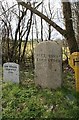 Old and new Boundary Markers by the B3257, Gawton Bridge, Bere Ferrers parish