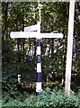 Old Direction Sign - Signpost by Park Road, Little Budworth parish