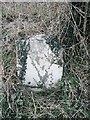 Old Milestone by Bryngwyn Road, east of Dingestow, Mitchel Troy parish