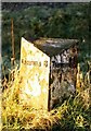 Old Milepost by the A51, near Coton, Tamworth parish