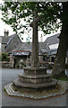 Old Central Cross by Fore Street, Cornwood Village