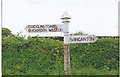 Direction Sign - Signpost at Brain